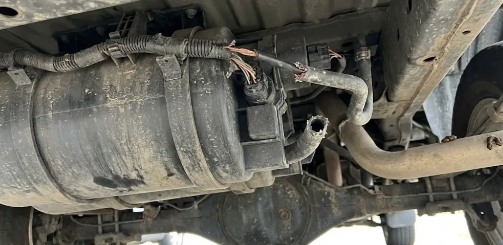 Toyota Tundra Rodent Damage