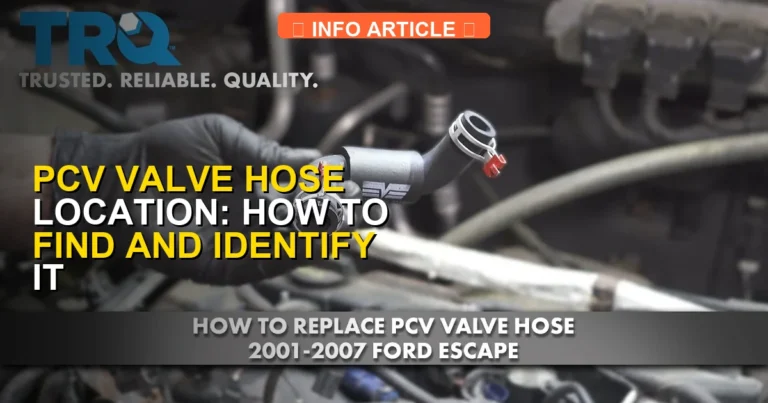 PCV Valve Hose Location: How to Find and Identify It